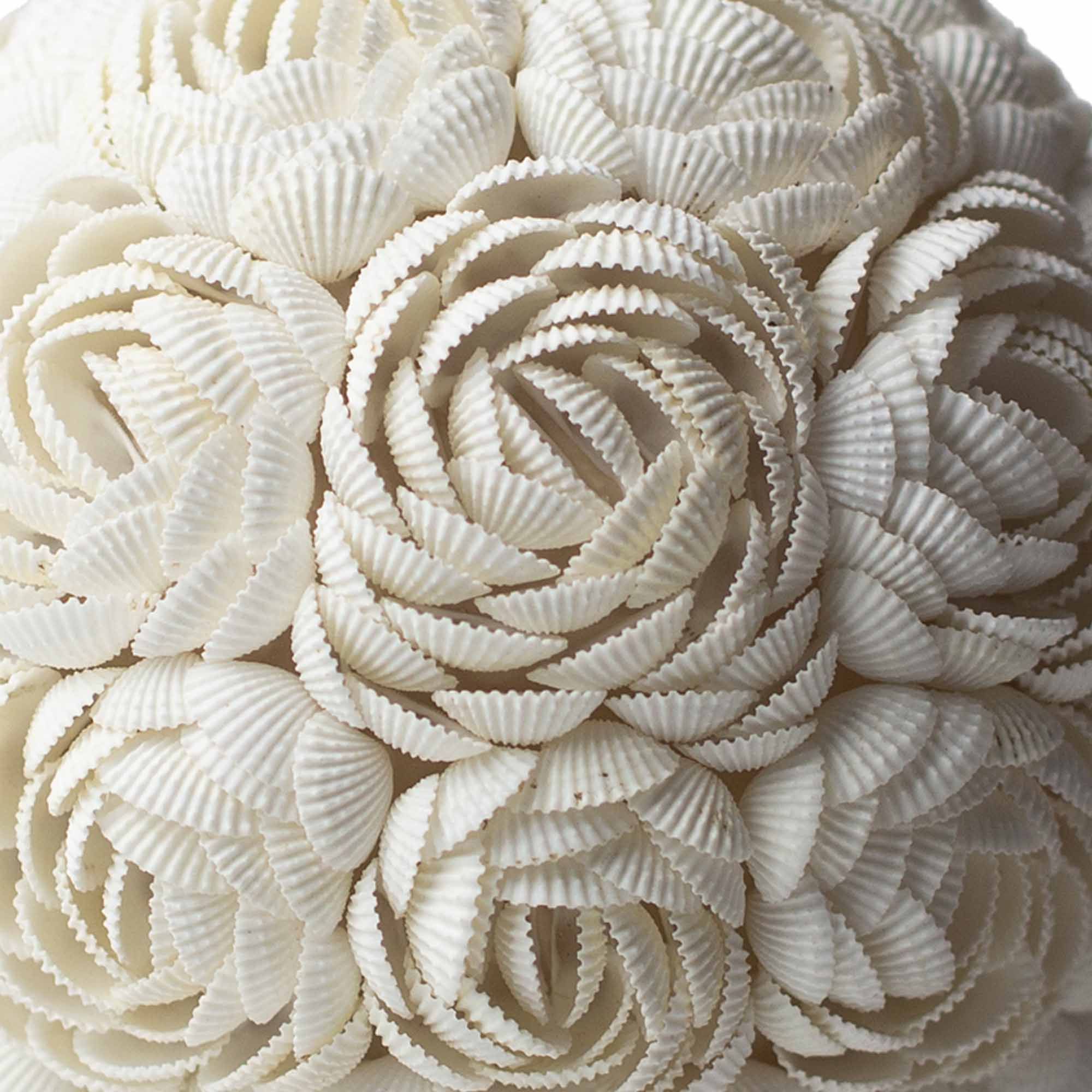 Lámpara Boho Sea Shell - Rosa Ovalada - 20cm