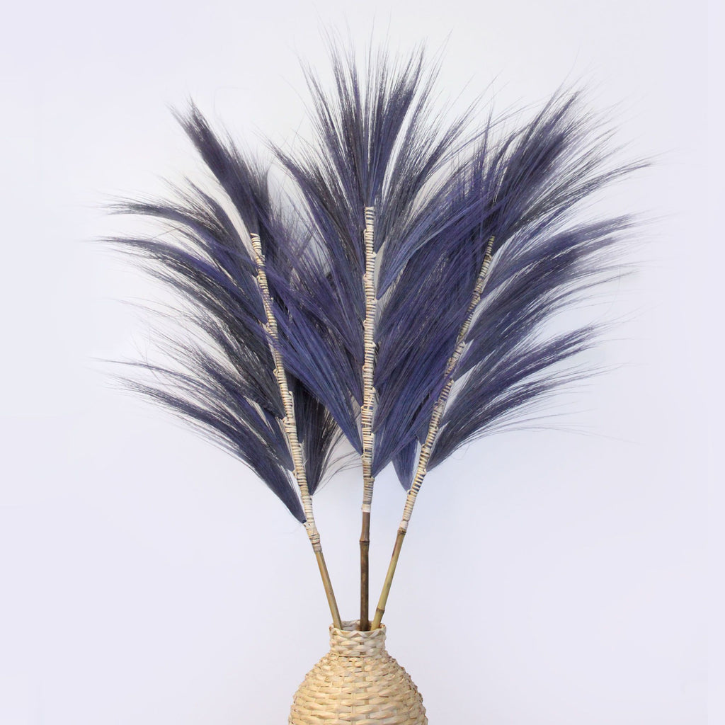 Palmera Lavanda de Rayung - 1.6m